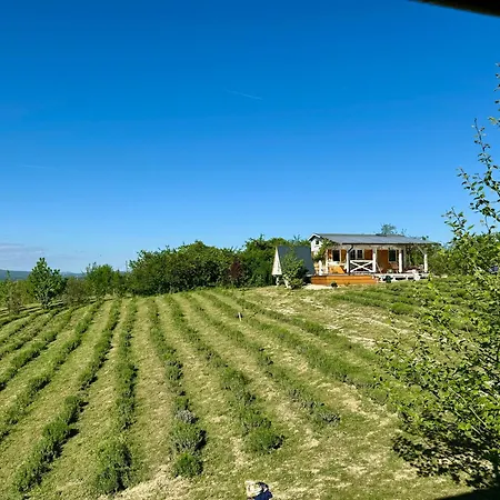Apartman Eco Kisapáti